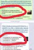 Кем был хабаровский стрелок: неонацист или исламский экстремист?