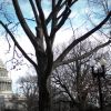 Новости США 5 мая 2017