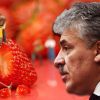 Нелегалы в агрохолдинге: годами Грудинин нарушал закон