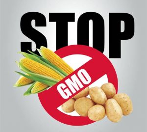 Запрет на ГМО в России
