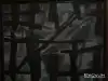 Тоталитарная секта современного Запада (Андрей Колеров. Забор. Закат. 2003) Андрей Колеров. Забо…