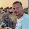 Корпорация донат-монстров