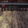 Украинскую землю смогут купить все, кроме россиян (Украинскую землю смогут купить все, кроме россиян) Украинскую землю смо…