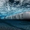 Голос Мордора: Датский черный лебедь вверг Украину в траур