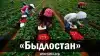 'Быдлостан'