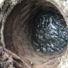 Голос Мордора: Голоса из клоаки