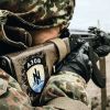 Горбатого Париж не исправит
