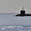 Против 'Лайки' у ВМС США нет приемов обороны (Фото: Лев Федосеев/ТАСС) Фото: Лев Федосеев/ТАСС