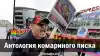Антология комариного писка