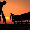 Подсуден ли транснациональный капитал? (Подсуден ли транснациональный капитал?) Подсуден ли транснац…