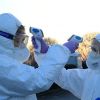 Глобализация умирает не только в экономике, но и в головах людей (Медицинские работники проверяют температуру друг у друга на границе Италии и Словении | © REUTERS / …) Медицинские работник…