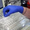 Американские охотники за вирусами прочно обосновались на Украине (© РИА Новости, Владимир Песня) © РИА Новости, Владимир Песня
