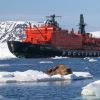 Севморпуть в будущее