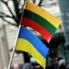Зачем Украине Великое княжество Литовское (Зачем Украине Великое княжество Литовское) Зачем Украине Велико…