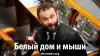 Белый дом и мыши
