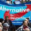 Немцы верят в 'Альтернативу для Германии'