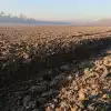 Минсельхоз ставит почву на карту (Почва. Фото REX) Почва. Фото REX