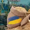'Зерно из Украины', или Нужен ли украинский опыт Африке?