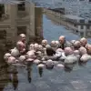 Мартовские обиды