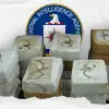 Европейская наркомафия взращена ЦРУ