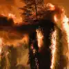 Старый Свет слишком ярко горит (Старый Свет слишком ярко горит) Старый Свет слишком ярко горит
