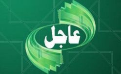 Зелёный канал Aldrnal Зелёный канал Aldrnal