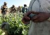 США – это наркомафия планеты. Часть 1 (Пиндосы в Афганистане за время аккупации увеличили сбор опиумного мака) Пиндосы в Афганистан…