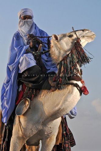 Tuareg fighters support Gaddafi Tuareg fighters supp…