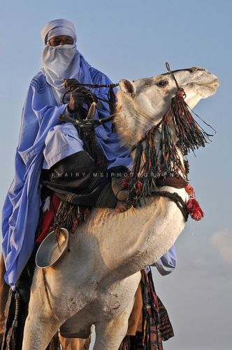 Tuareg fighters supp…