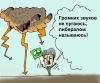 Кенгуру на смех такое правительство (либеральное правительство) либеральное правительство
