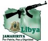 Ливия. Обзор событий за 15-17 января 2012 года