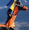 Украинский клуб самоубийц