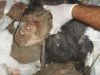 Терроризм и военные преступления НАТО в Ливии (Ливия. После ночной бомбёжки. Преступления фашистского блока НАТО) Ливия. После ночной …
