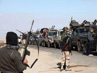 крысы едут на БВ крысы едут на БВ