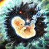 Космическое сознание. Часть 2