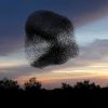 Апокалипсис: умная Книга жизни против умного коммунизма