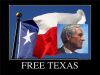 Свободный Техас