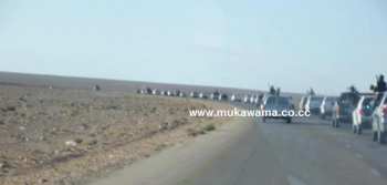 Колонна повстанцев движется на город Барак Chatae2 Колонна повстанцев д…