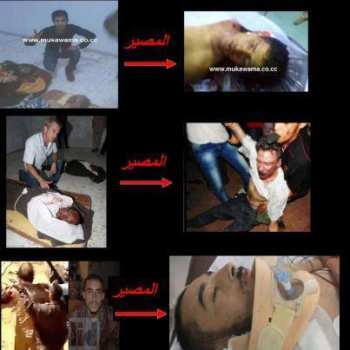 3 крысы поплатились 3 крысы поплатились