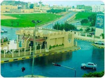 Сирт до начала агрессии натокрыс Сирт до начала агрес…