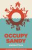 #OccupySandy – добровольцы в Нью-Йорке и задница FEMA. (Девиз общественного движения Occupy Sandy) Девиз общественного …
