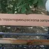 Археологический фронт: российская археология развивается вопреки жесткому давлению Запада (Фото : предоставлено автором) Фото : предоставлено автором