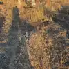 Шок-фото: Тысячи могил ВСУшников превратились в помойки