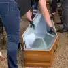 Политические мины замедленного действия. Зеленский и неонацисты готовят себе эрзац-оппозицию (Фото : kmoun.info) Фото : kmoun.info