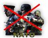 НАТО и фашисты – суть одно и то же?