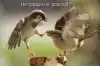 С либеральным монополизмом пора заканчивать (С либеральным монополизмом пора заканчивать) С либеральным монопо…