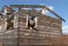 О приступе рокнролльного 'пацифизма'