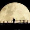 Guardian: Трамп раскритиковал NASA и объявил Луну частью Марса (В своём недавнем твите Дональд Трамп выступил с собственной удивительной астрономической теорией, на…) В своём недавнем тви…