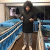 Московские устрицы встали украинским 'патриотам' поперек горла