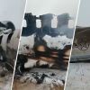 С символикой ВВС США: что известно о крушении самолёта в Афганистане (Фюзеляж с символикой ВВС США: что известно о крушении самолёта в Афганистане) Фюзеляж с символикой…